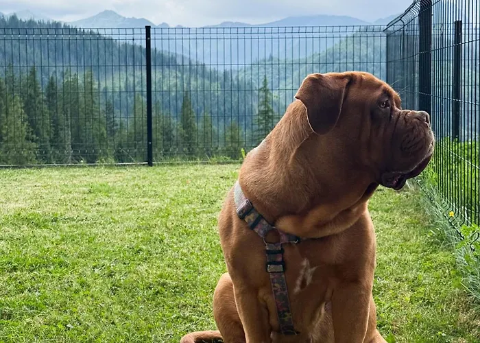 Apartmán Stone Zakopane